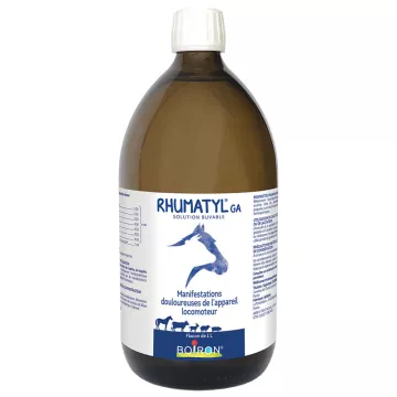 PVB Rheumatismus GA Bottle 1L