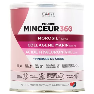 EAFIT Minceur 360 Poudre 275g Gout Fruits des Bois