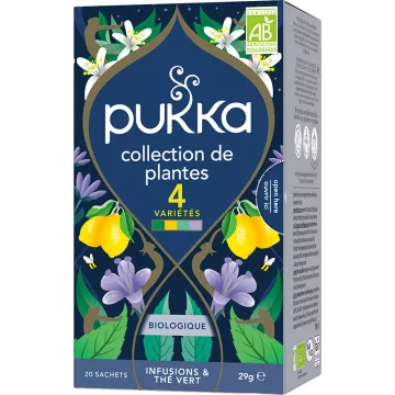 Tisane Pukka 4 varietà 20 bustine