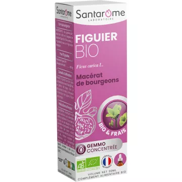 Santarome Bio-Feigenbaum Knospe 30ml