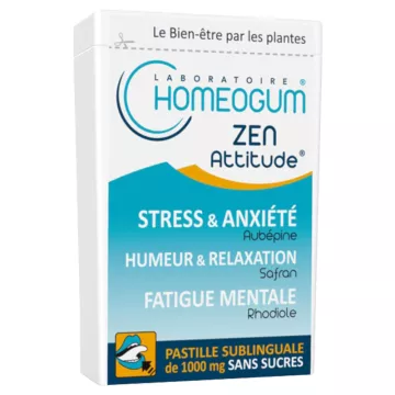 Homeogum Zen Attitude Sublingual Pastille Box 40гр.