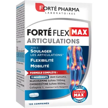 Forté Pharma Forte Flex Max Gelenke 120 Tabletten