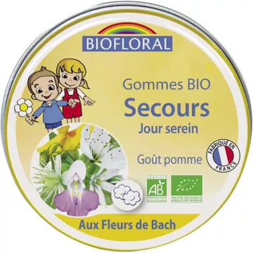 Biofloral Kids Gommes Secours Jour Serein Bio 45g