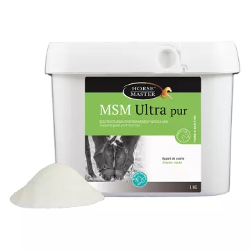 MSM Ultra Pure MASTER Pulver zum Einnehmen 1KG Pferdebox