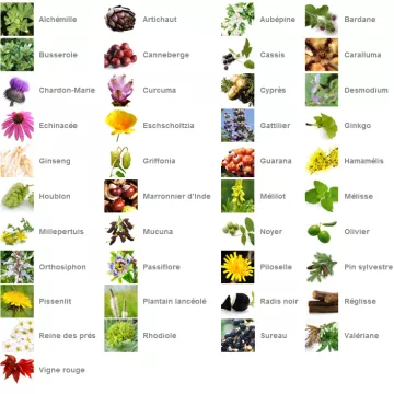 WAMINE Mistura personalizada de plantas fluidas para Animais