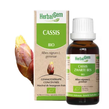 CASSIS BOURGEONS MACERAT BIO HERBALGELM 30ML