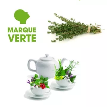 THYME Infusionsbeutel FILTER GREEN MARK BT25