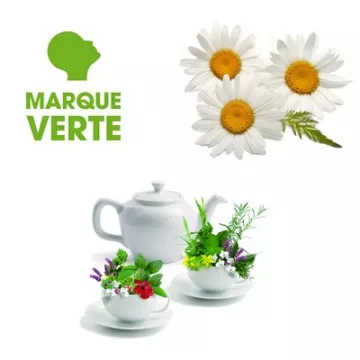 Infusion Camomille Marque Verte 25 sachets