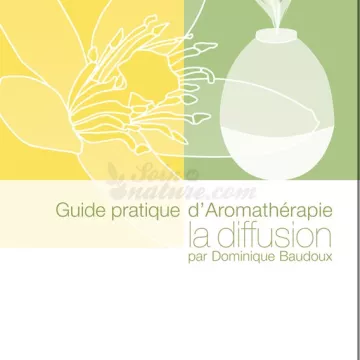Baudoux Practical Guide to Aromatherapy: The Diffusion