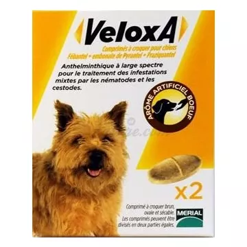 VELOXA dog wormer 2 or 4 chewable tablets