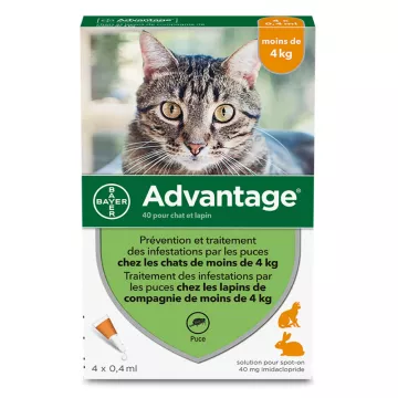 Advantage 40 Cat and Rabbit anti-flea pipettes