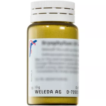 Weleda ARGENTITE D6 trituración polvo oral homeopático