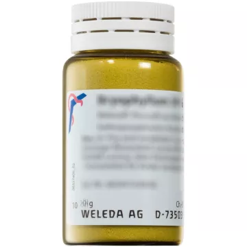 Weleda ARGENTUM METALLICUM D6 Гомеопатический оральный порошок для растирания