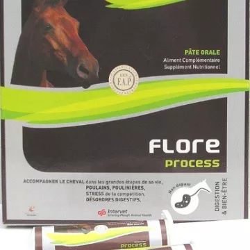 FLORA HORSE PROCESSO FOAL 5 SIRINGA 20ML