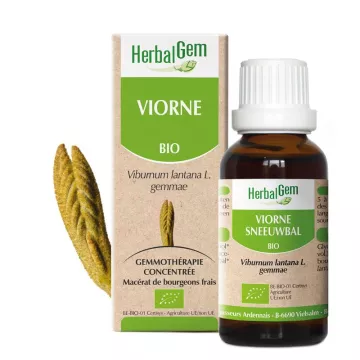 Viburnum boompje glycerinemaceraat BIO 30ml Herbalgem