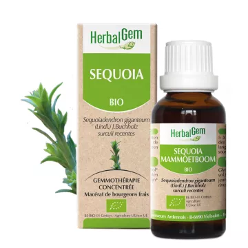 SEQUOIA boompje glycerinemaceraat BIO 30ml Herbalgem