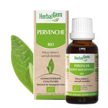 PERVENCHE brote glicerina macerado 30ml BIO HERBALGEM