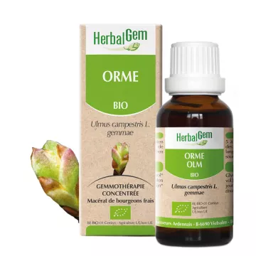 ELM boompje glycerinemaceraat Herbalgem BIO 30ML