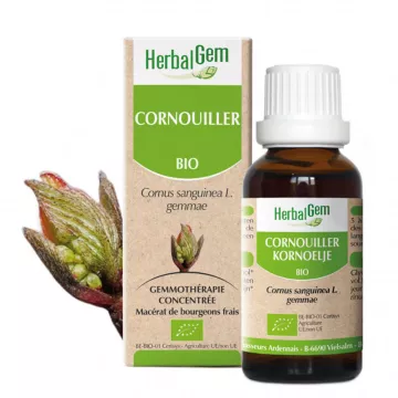 Herbalgem Macerat Mère Cornouiller Bio 30 ml