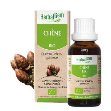 OAK bud glicerina macerar BIO 30ml HERBALGEM