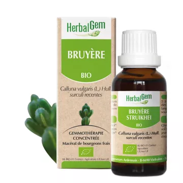 Herbalgem Macerat Mère Bruyère Bio 30 ml