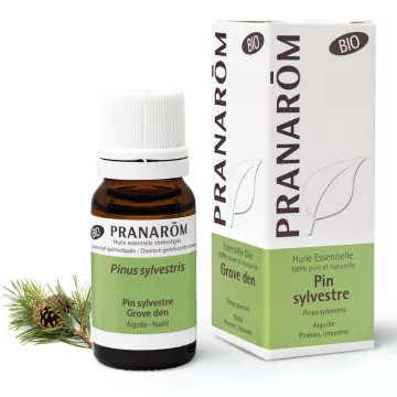 Ätherisches Bio-Waldkiefernöl PRANAROM 10 ml