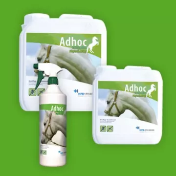 ADHOC insetticida spray 1L A LUNGO TERMINE