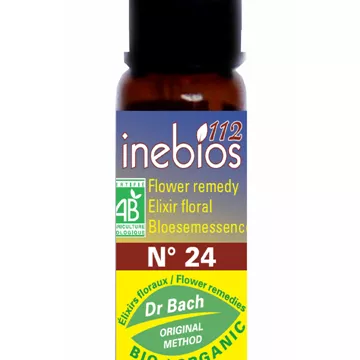 Flor de Bach Pinheiro Escocês 10ml Inebios PINHO N°24