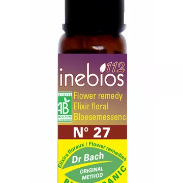 Bachblüten Steinwasser 10ml Inebios FELSENWASSER N ° 27