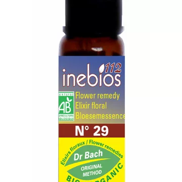 Flor de Bach Estrella de Belén 10ml Inebios Estrella de Belén N°29