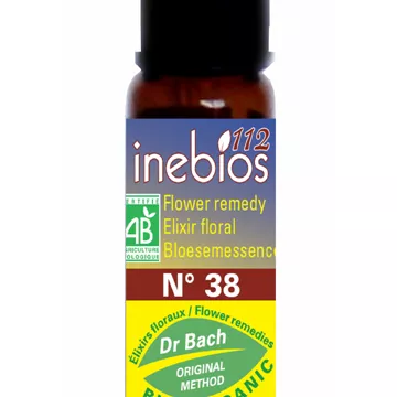 Bach Flowers Willow 10ml Inebios WILLOW N ° 38