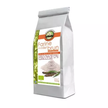 Ecoidées Brown Millet farinha Bio 500g selvagem