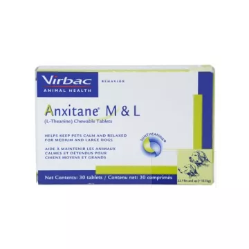 Anxitane M et L anxiété Chien