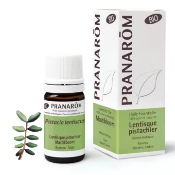 Organic 5ml de óleo essencial Mastic Pistache Pranarom