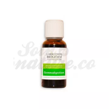 Biogemm Gemmodigestão Bud Maceration Organic 30ml