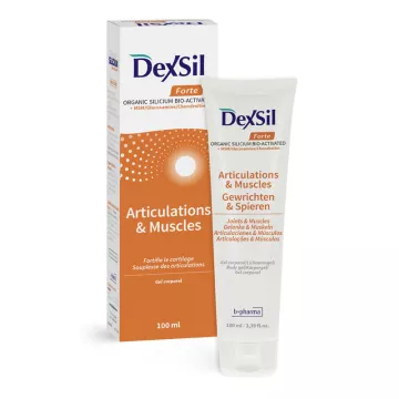 Gel corporal para articulaciones y músculos Dexsil Forte