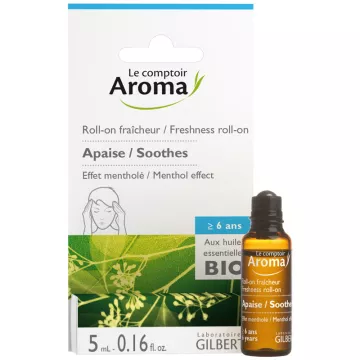 Le Comptoir Aroma Roll On com Óleos Essenciais Dor de Cabeça 5ml