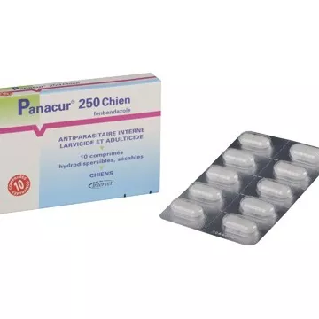 Panacur 250mg Wide Vermifuge Spectrum for Dogs