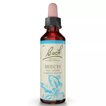 Beech Bach Flower Original Remedies 20ml BEECH