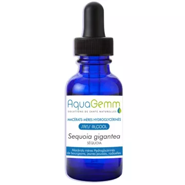 Sequoia Bio AQUAGEMM Maceration of buds without alcohol Gemmotherapy