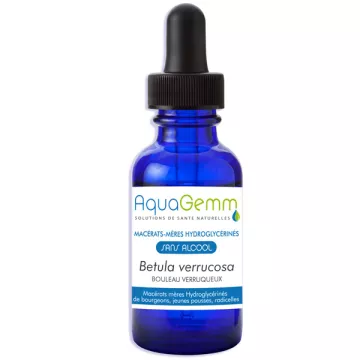 Organic Verrucous Birch AQUAGEMM Non-alcoholic bud macerate