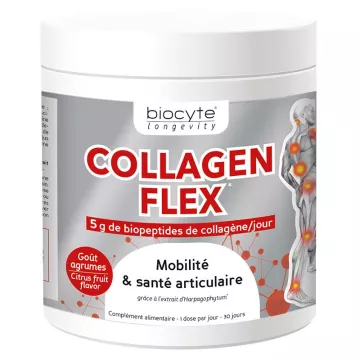 Collagen Flex RESTRUCTURANT CARTILAGE ARTICULAIRE 240g Biocyte