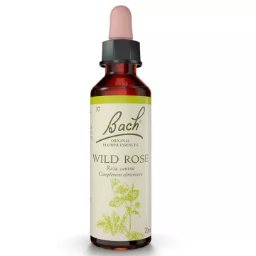 Bach Original Flower Remedies 20ml Rosehip WILD ROSE