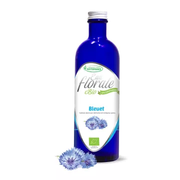 Hidrossol orgânico BLUEBERRY SFL PhytoFrance