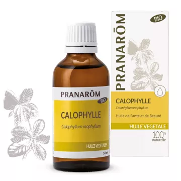 Plantaardige olie Calophylle BIO (tamanu) PRANAROM