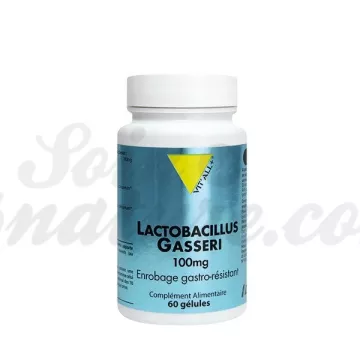 Lactobacillus Gasseri VITALL + Пробиотические капсулы для похудения 60