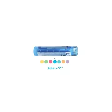 BRONCHES pellets Boiron homeopathy