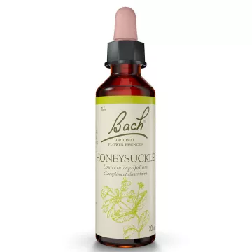 Bach Original Flower Kamperfoelie KAMPERFOELIE 20ml