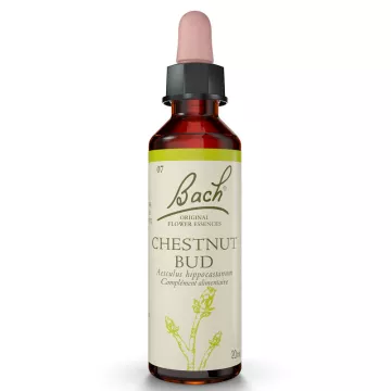 Bach-Blütentherapie Chestnut Bud Chestnut Bud 20ml Indien