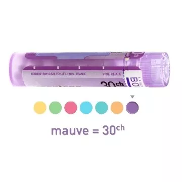 PROTEUS VULGARIS 30CH Granules Boiron Homéopathie